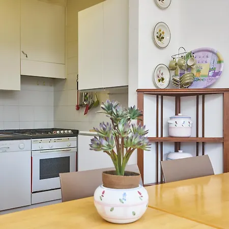 Via Dei Lecci * Sant'Anna (Isola d'Elba)